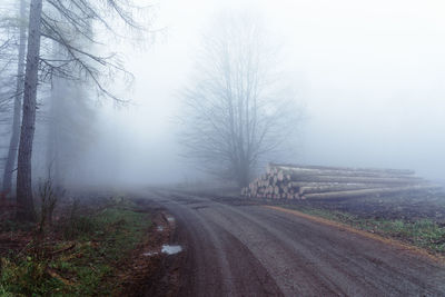 Road amidst trees against sky