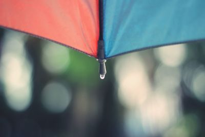 Close-up of water drops on leaf