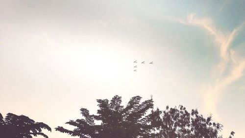 Low angle view of silhouette birds flying against sky