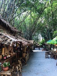 Trees and plants at market stall