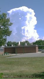 Trees on landscape against blue sky