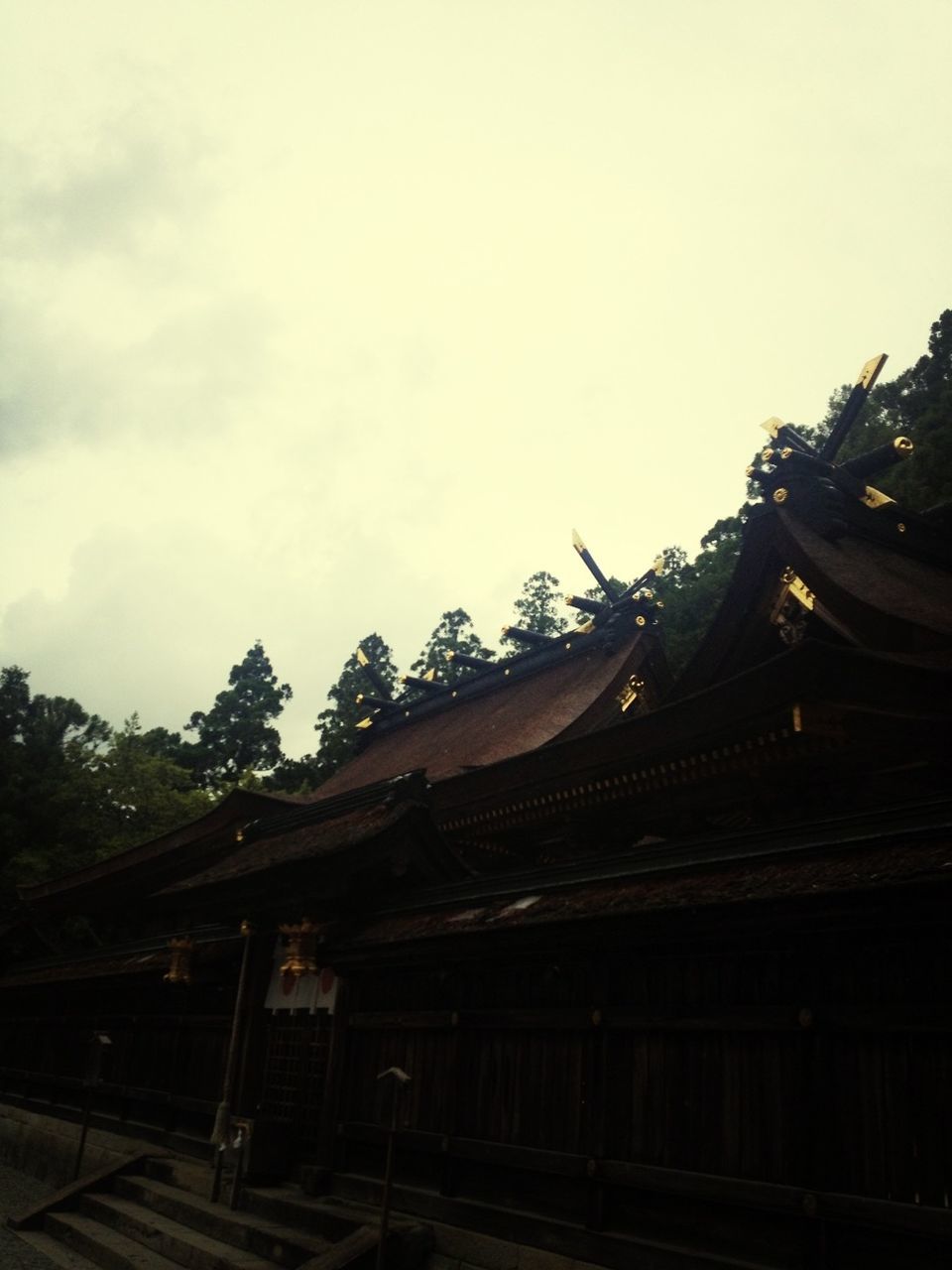 place of worship, religion, low angle view, built structure, architecture, tree, spirituality, temple - building, building exterior, sky, roof, temple, tradition, pagoda, cultures, history, no people, outdoors, day