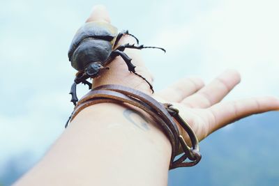 Cropped hand with beetle