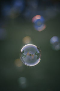 Close-up of bubbles