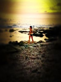 Scenic view of beach at sunset