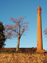 Low angle view of bare tree against clear sky