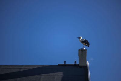 Low angle view of seagull perching on building against sky