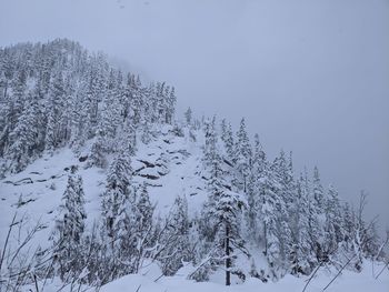 Snow covered land and trees against sky