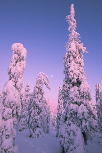 Snow covered landscape against sky during sunset