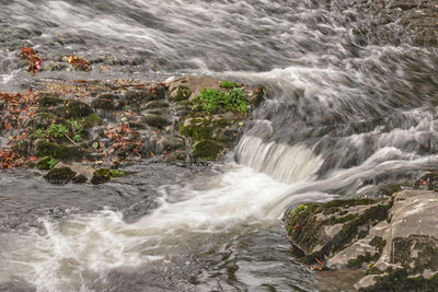Scenic view of waterfall
