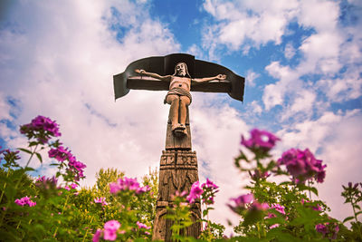 Low angle view of pink flowering plant against sky