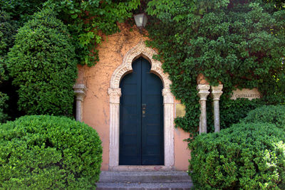Entrance of ivy on gate