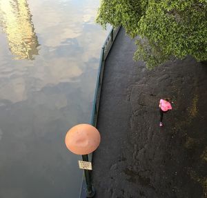 High angle view of river