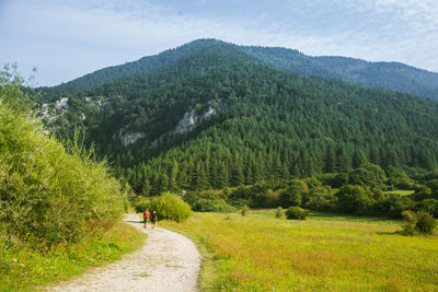 A beautiful hiking trail in low tatra region in slovakia. walking path in mountains and forest. 