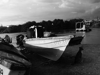 Boats in harbor