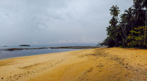 Scenic view of beach against sky