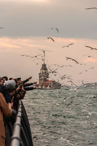 Seagulls flying over sea against sky during sunset