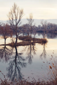 Bare trees by lake against sky during sunset