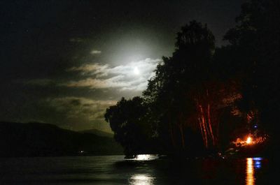 Reflection of trees in lake