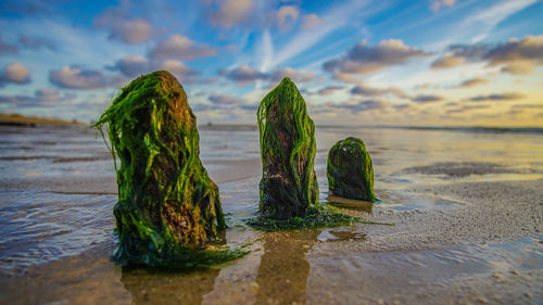 Close-up of rocks on beach against sky