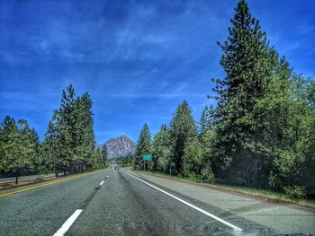 Surface level of empty road along trees