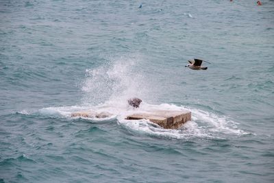 High angle view of people swimming in sea