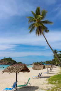 Palm tree on beach against sky