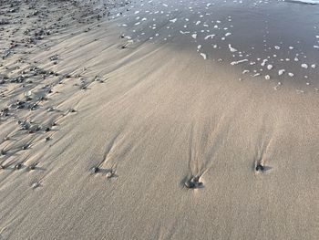 High angle view of beach