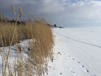 Scenic view of beach against sky during winter