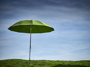 Low angle view of leaf on land against sky