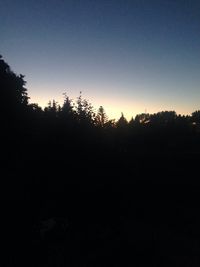 Scenic view of trees against clear sky at sunset