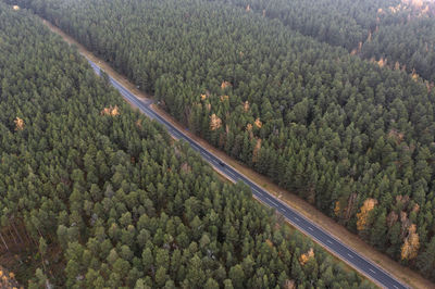 High angle view of agricultural field