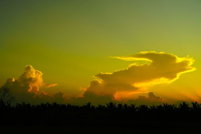 Low angle view of silhouette trees against sky during sunset