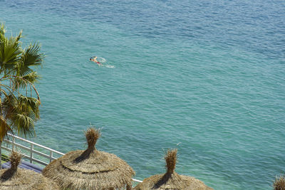 High angle view of palm trees on beach