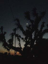 Low angle view of silhouette trees against sky at night