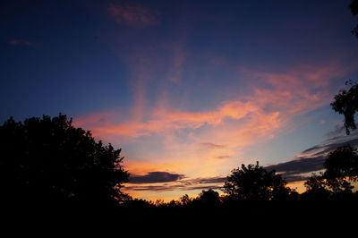 Low angle view of silhouette trees against orange sky