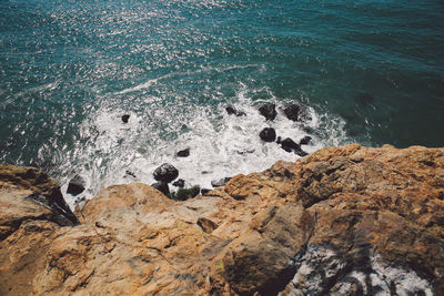 High angle view of rocky shore