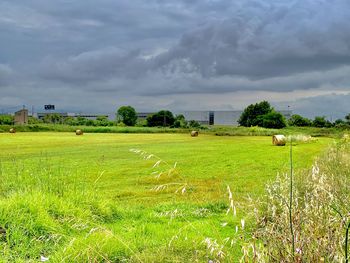Scenic view of field against sky