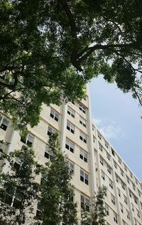 Low angle view of building against sky