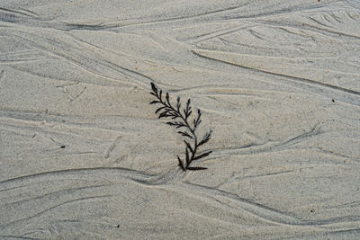 High angle view of sand at beach