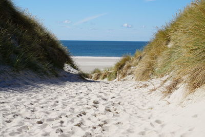 Scenic view of beach against sky