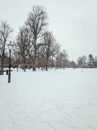 Bare trees on snow covered field against sky