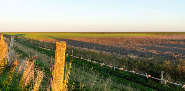 Scenic view of agricultural field against sky