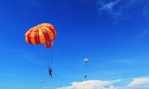 Low angle view of hot air balloons