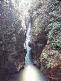 Scenic view of waterfall in forest