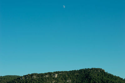 Low angle view of trees against clear blue sky
