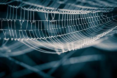 Full frame shot of spider web