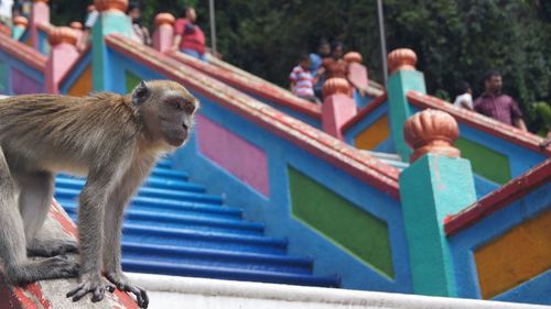 Side view of two people on staircase
