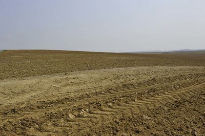 Scenic view of field against clear sky