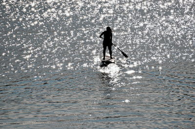 Silhouette man paddleboarding in sea